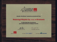Zdjęcie certyfikatu Gazele Biznesu 2011. Dziennik 